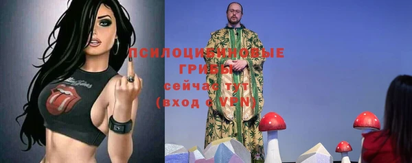 дживик Алексин